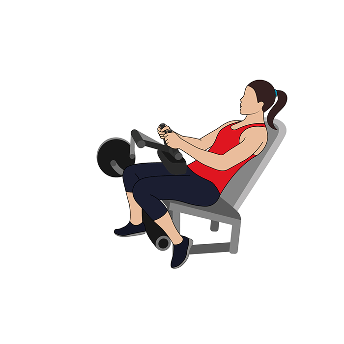 Unilateral seated leg curl FITNESSSCHEMAS.NL